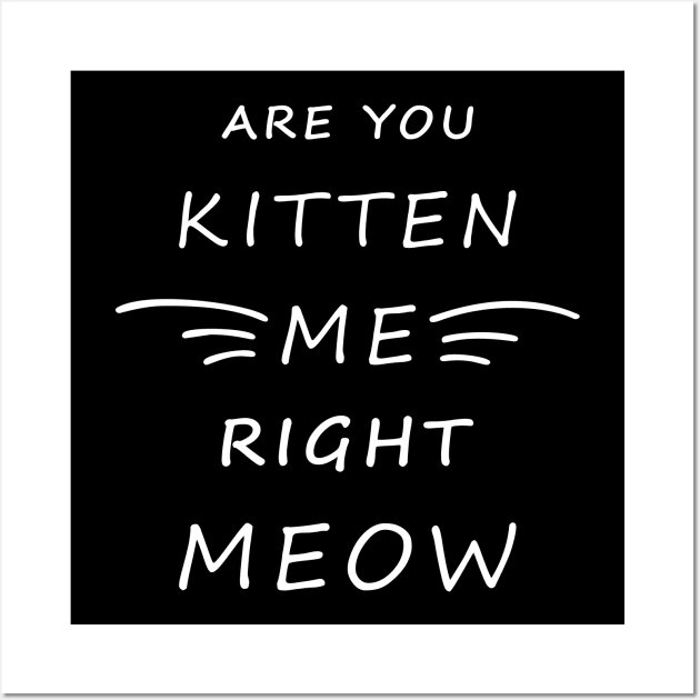 Are You Kitten Me Right Meow Wall Art by Lasso Print